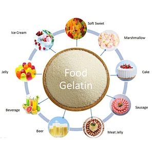 manufacturer halal powder food Additive Gelatin from China