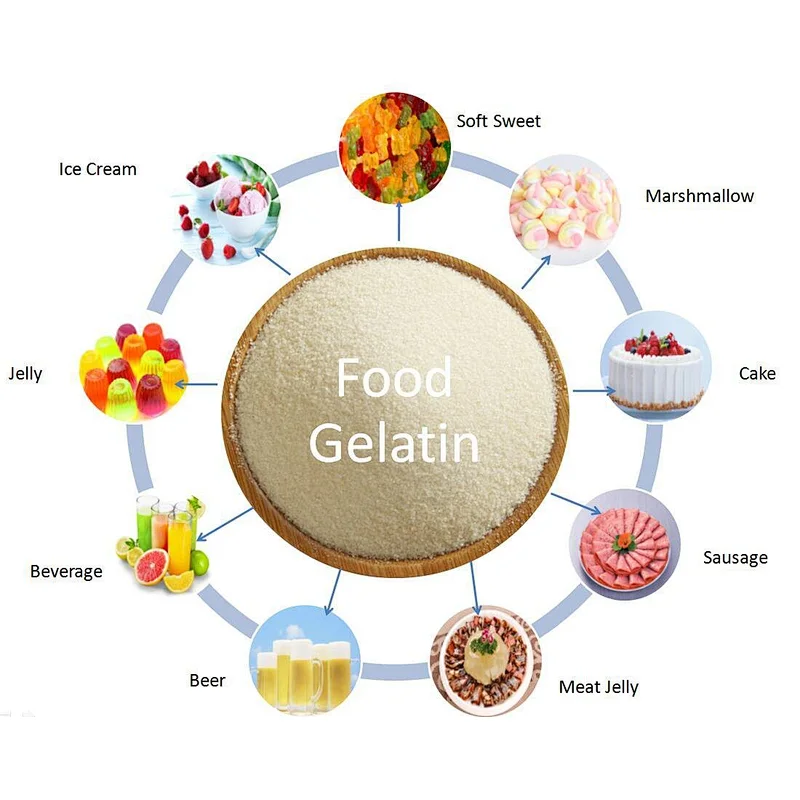 manufacturer halal powder food Additive Gelatin from China